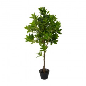 Искусственные растения Дерево счастья MK-7406-FT Темно-зеленый в Оби - ob.katalogmebeli.com | фото