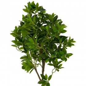 Искусственные растения Дерево счастья MK-7406-FT Темно-зеленый в Оби - ob.katalogmebeli.com | фото 3