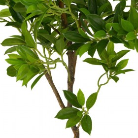 Искусственные растения Дерево счастья MK-7406-FT Темно-зеленый в Оби - ob.katalogmebeli.com | фото 4