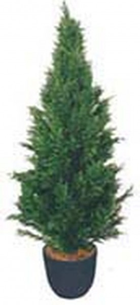 Искусственные растения Туя MK-7401-CT Темно-зеленый в Оби - ob.katalogmebeli.com | фото