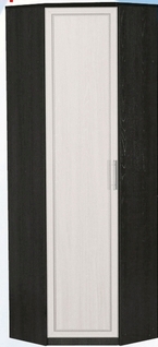 Шкаф для одежды угловой ДЛЯ ГОСТИНОЙ ШОУ-695 Венге/Дуб выбеленный в Оби - ob.katalogmebeli.com | фото